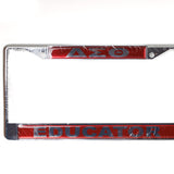 DST- License Plate frame (Educator )