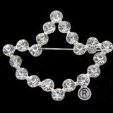 AKA - Crystal Ivy Brooch