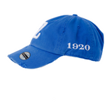 ZPB- Blue Acid Washed DAD hat (Limited Edition)