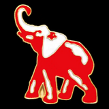 DST - Elephant Lapel Pin